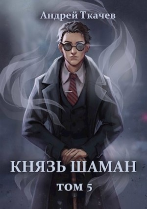 Андрей Ткачёв - Князь шаман. Книга 5