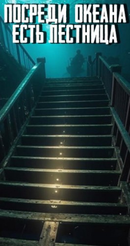 Александр Гофман - Посреди океана есть лестница