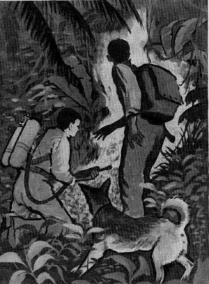 Роберт Хайнлайн - Новичок в космосе