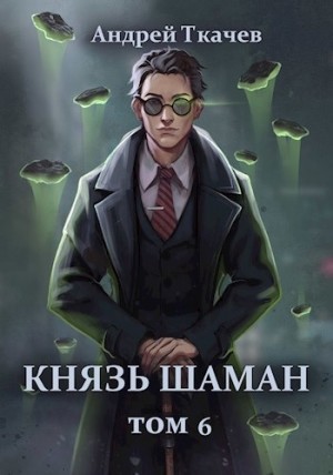 Андрей Ткачёв - Князь шаман. Книга 6