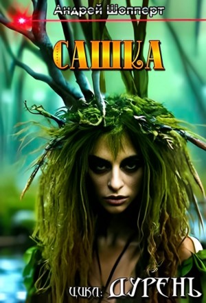 Андрей Готлибович Шопперт - Дурень. Книга первая. Сашка