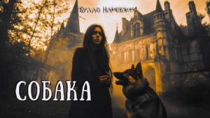 Буало-Нарсежак - Собака