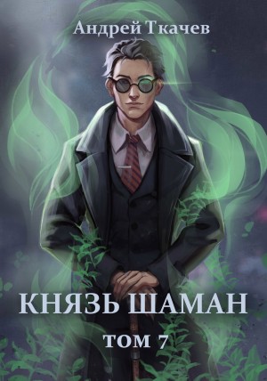 Андрей Ткачёв - Князь шаман. Книга 7