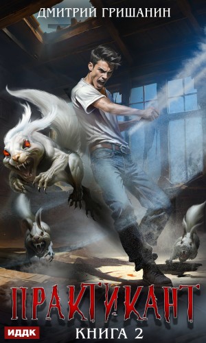 Дмитрий Гришанин - Практикант. Книга 2