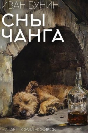 Иван Алексеевич Бунин - Сны Чанга