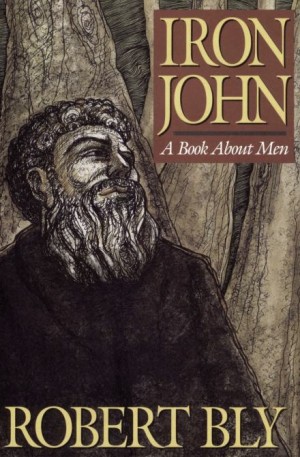 Роберт Блай - Железный Джон: книга про мужчин