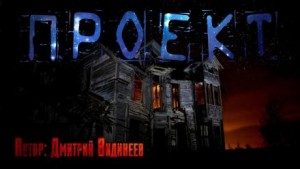 Дмитрий Видинеев - Проект
