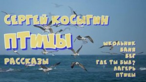 Сергей Косыгин - Сборник рассказов