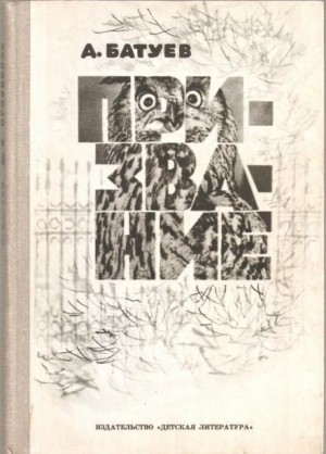 Андрей Батуев - Призвание