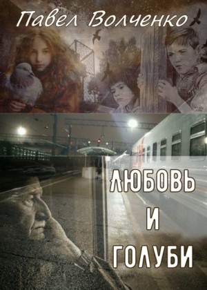 Павел Волченко,  - Любовь и голуби