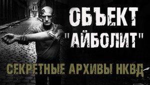 Максим Никитин - Секретные архивы НКВД. Объект "Айболит"