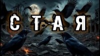 Стая