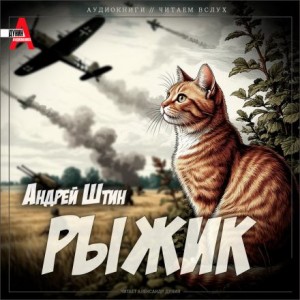 Андрей Штин - Рыжик