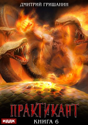 Дмитрий Гришанин - Практикант. Книга 6