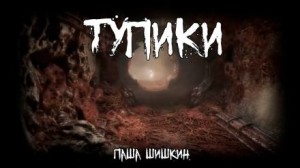 Паша Шишкин - Тупики