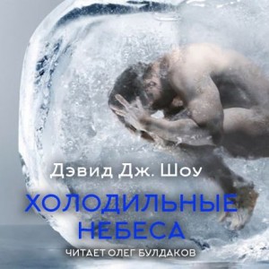 Дэвид Дж. Шоу - Холодильные небеса