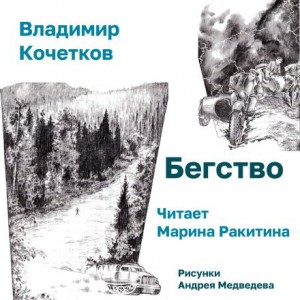 Владимир Кочетков - Бегство