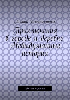 Леонид Беспамятных - Приключения в городе и деревне. Невыдуманные истории