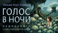 Голос в ночи