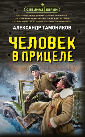 Александр Тамоников - Человек в прицеле