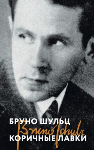 Бруно Шульц - Коричные лавки