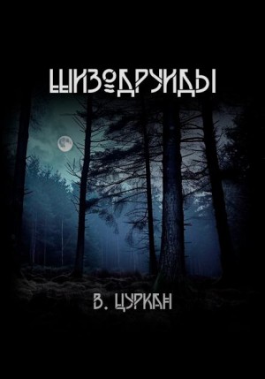 Валерий Цуркан - Шизодруиды