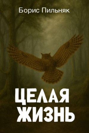 Борис Пильняк - Целая жизнь