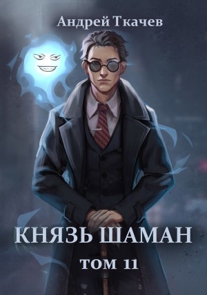 Андрей Ткачёв - Князь шаман. Книга 11