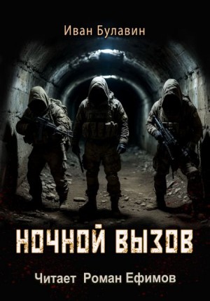 Иван Булавин - Ночной вызов