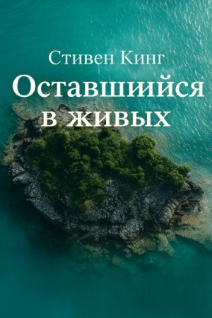 Стивен Кинг - Оставшийся в живых