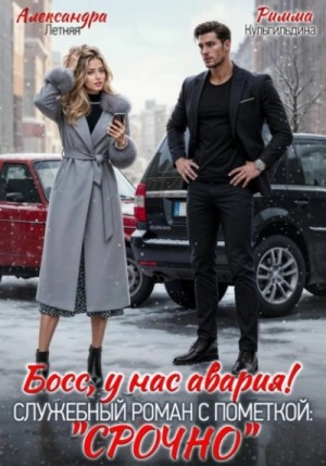 Римма Кульгильдина, Александра Летняя - Босс, у нас авария! Служебный роман с пометкой «Срочно»
