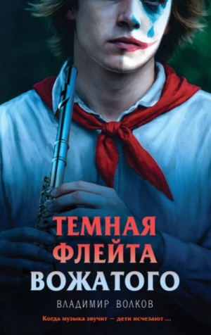 Владимир Волков - Темная флейта вожатого