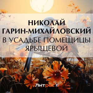 Николай Гарин-Михайловский - В усадьбе помещицы Ярыщевой