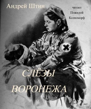 Андрей Штин,  - Слёзы Воронежа
