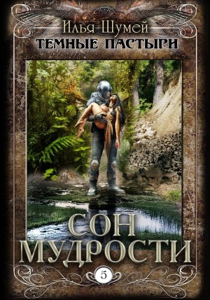 Илья Шумей - Сон мудрости