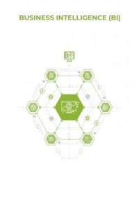 Business Intelligence (BI)