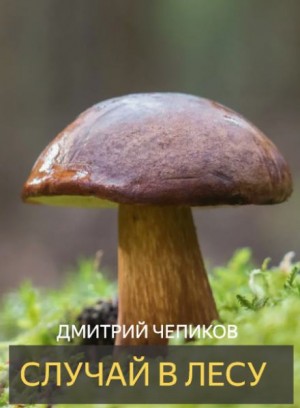 Дмитрий Чепиков - Случай в лесу