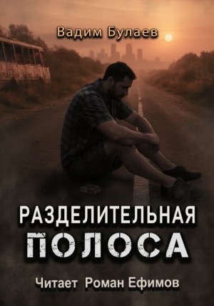 Вадим Булаев - Разделительная полоса