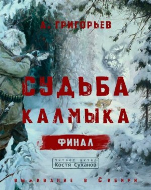 Анатолий Григорьев - Судьба Калмыка. Том 5. Финал