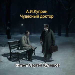 Александр Иванович Куприн - Чудесный доктор