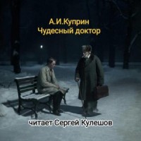Чудесный доктор