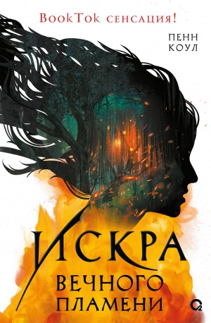 Пенн Коул - Искра вечного пламени