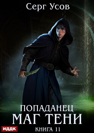 Серг Усов - Попаданец. Маг Тени. Книга 11