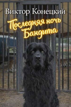 Виктор Конецкий - Последняя ночь Бандита