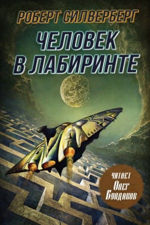 Роберт Силверберг - Человек в лабиринте