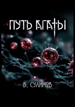 Владимир Сулимов - Путь Агаты