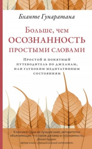 Бханте Хенепола Гунаратана - Больше, чем осознанность простыми словами