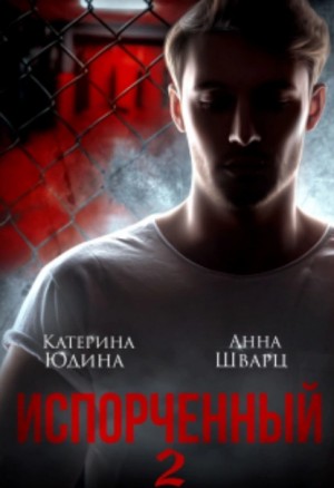 Екатерина Юдина, Анна Шварц - Испорченный. Книга 2