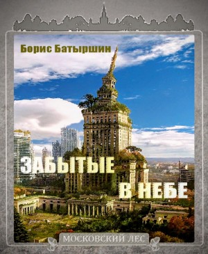 Борис Батыршин - Забытые в небе