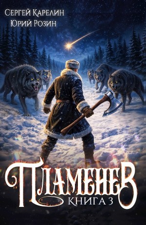 Сергей Карелин, Юрий Розин - Пламенев. Книга III